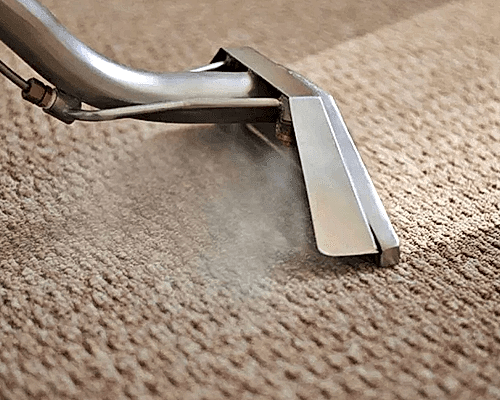 Carpet Cleaning